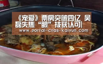 《宠爱》票房突破四亿 吴磊失焦“眼”技获认可|开云APP(图1) 《宠爱》票房突破四亿 吴磊失焦“眼”技获认可|开云APP(图1)