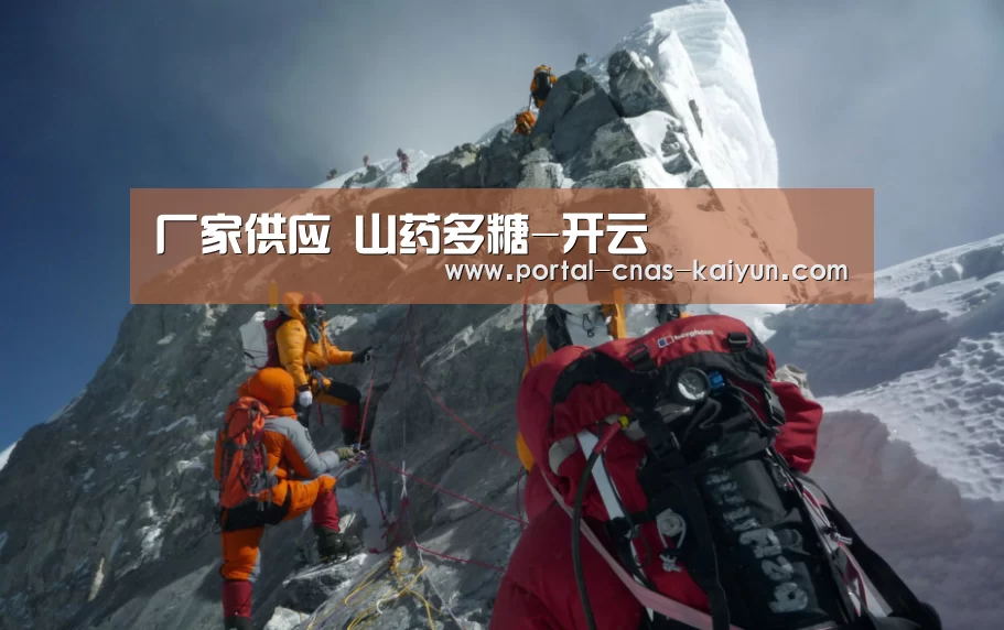 厂家供应 山药多糖-开云(图2) 厂家供应 山药多糖-开云(图2)