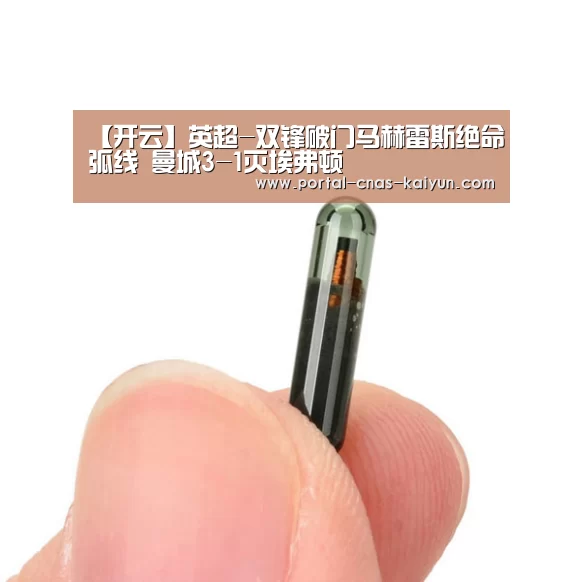 【开云】英超-双锋破门马赫雷斯绝命弧线 曼城3-1灭埃弗顿(图3) 开云