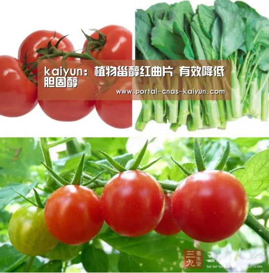 kaiyun:植物甾醇红曲片 有效降低胆固醇(图1) 开云平台