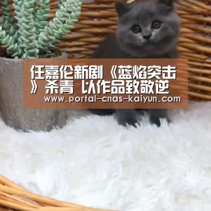 任嘉伦新剧《蓝焰突击》杀青 以作品致敬逆行英雄-开云(图1) 开云平台